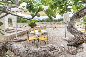 ristorante mediterraneo Puglia